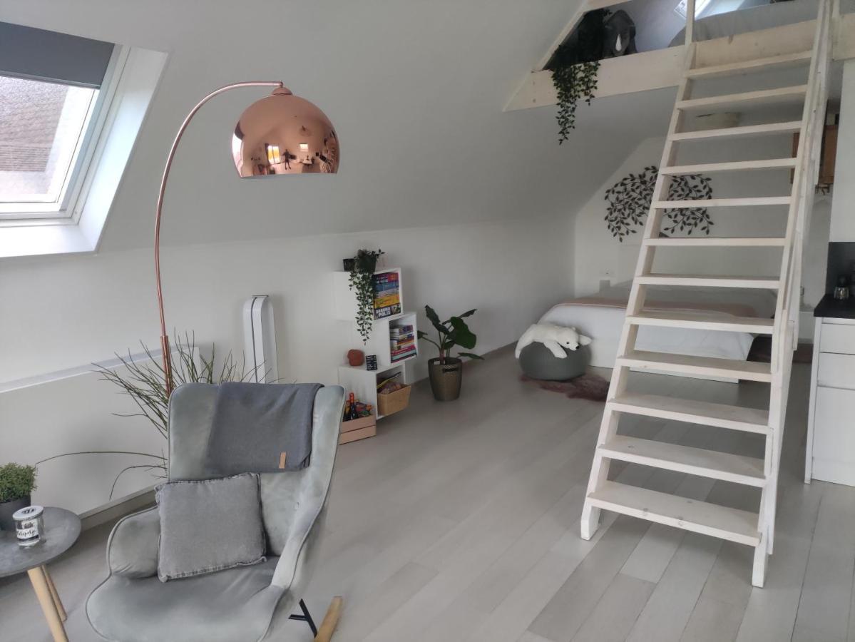 *** Biezoe *** Apartment Brakel Exterior photo